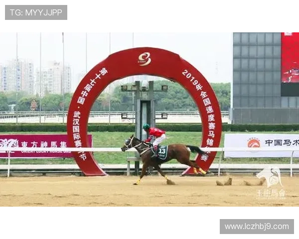 武汉羽毛球队勇夺最新团队协作榜首位置引领羽坛风潮