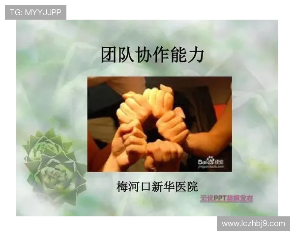 深入探讨北京羽毛球队团队协作模式与其他球队的差异与优势分析