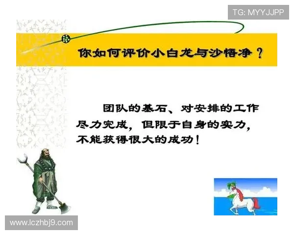 杭州排球队在世界杯中的团队协作表现分析与启示